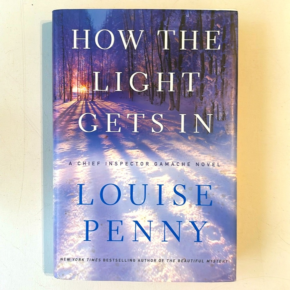 How the Light Gets In by - Blue Hardcover Novel
